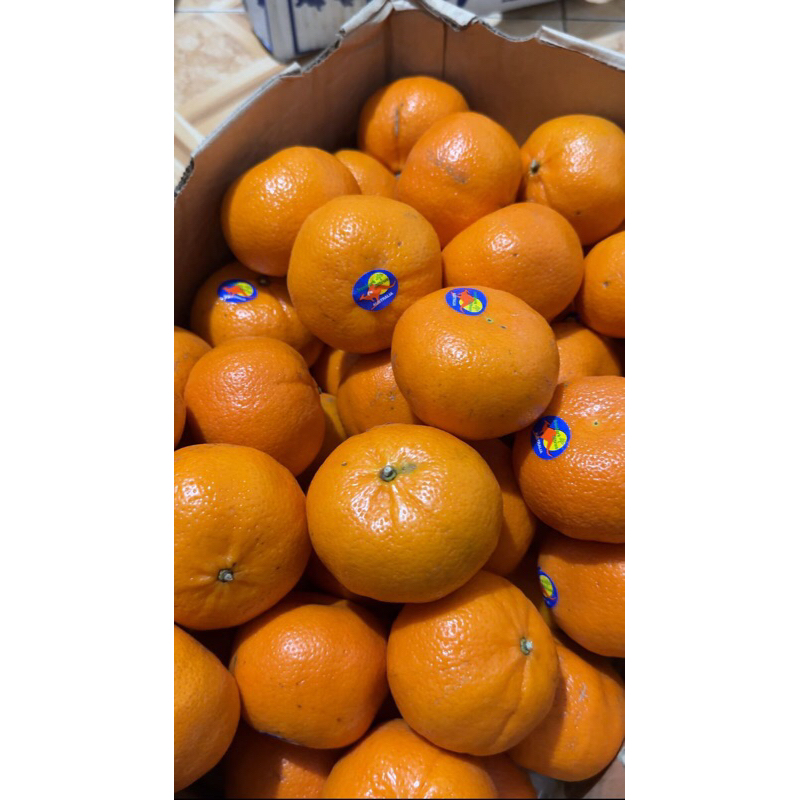 

Jeruk Murcot Ausy BEST SELLER 500gr (ditimbang dulu)