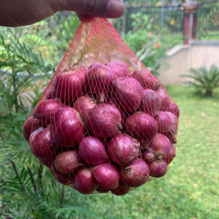 

Bawang Merah || Bawang Merah Bima 1Kg || Bawang Merah Murah Berkualitas || Bawang Merah KUALITAS TERBAIK MURAH