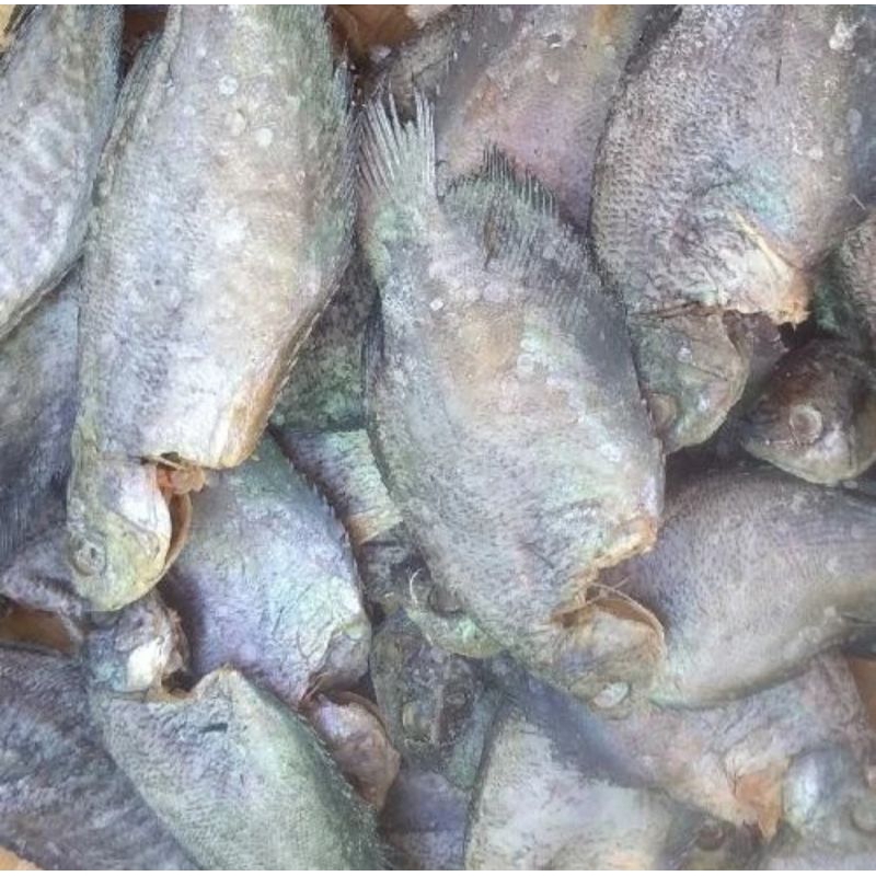

ikan asin sepat berkualitas - 250 Gram