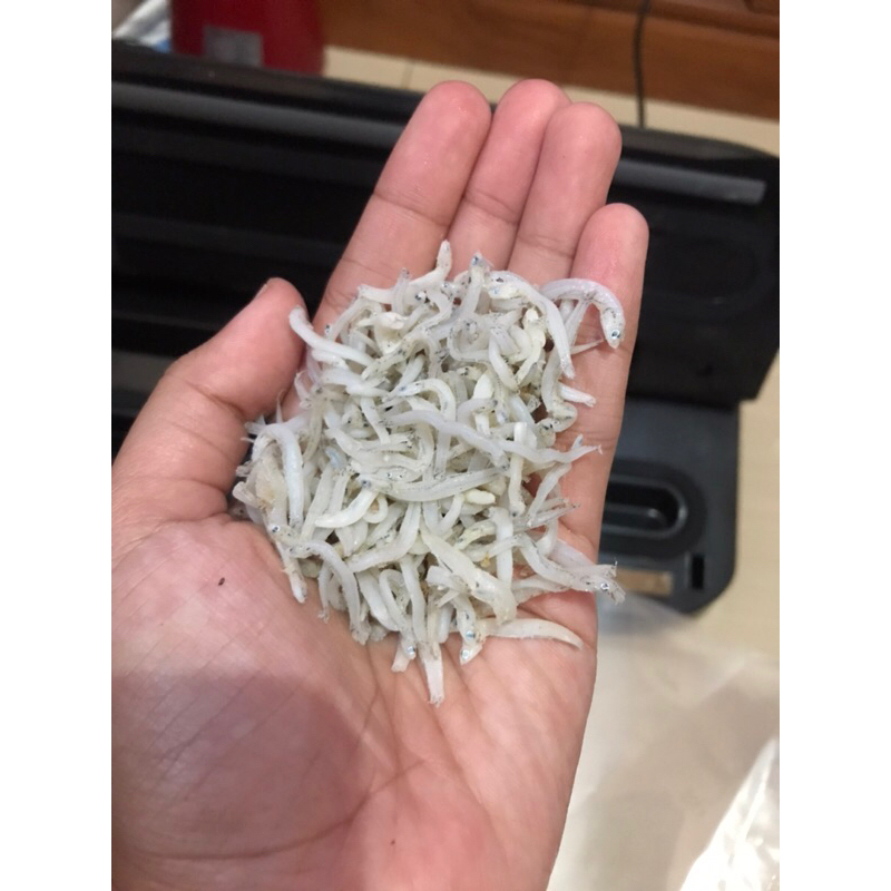 

TERI MEDAN/TERI NASI ASIN