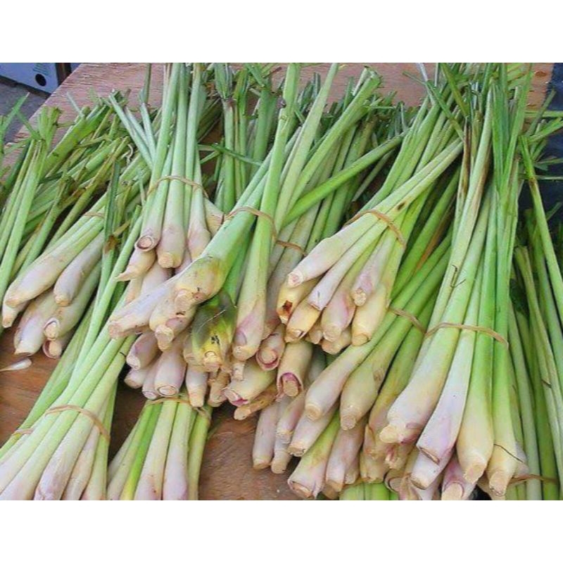 

serai sereh wangi 1 kg