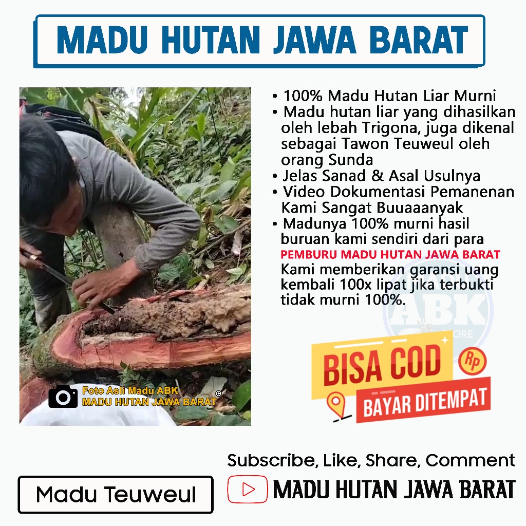 

Madu Trigona Asli Murni 100% | Madu Klanceng Hutan Organik | Madu Teuweul Premium Quality