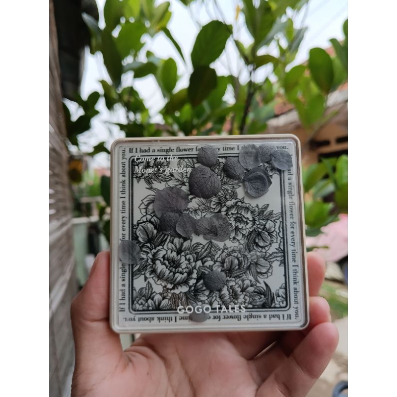 Gogo tales eyeshadow shade 908