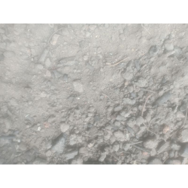 Pupuk organik kambing bakar