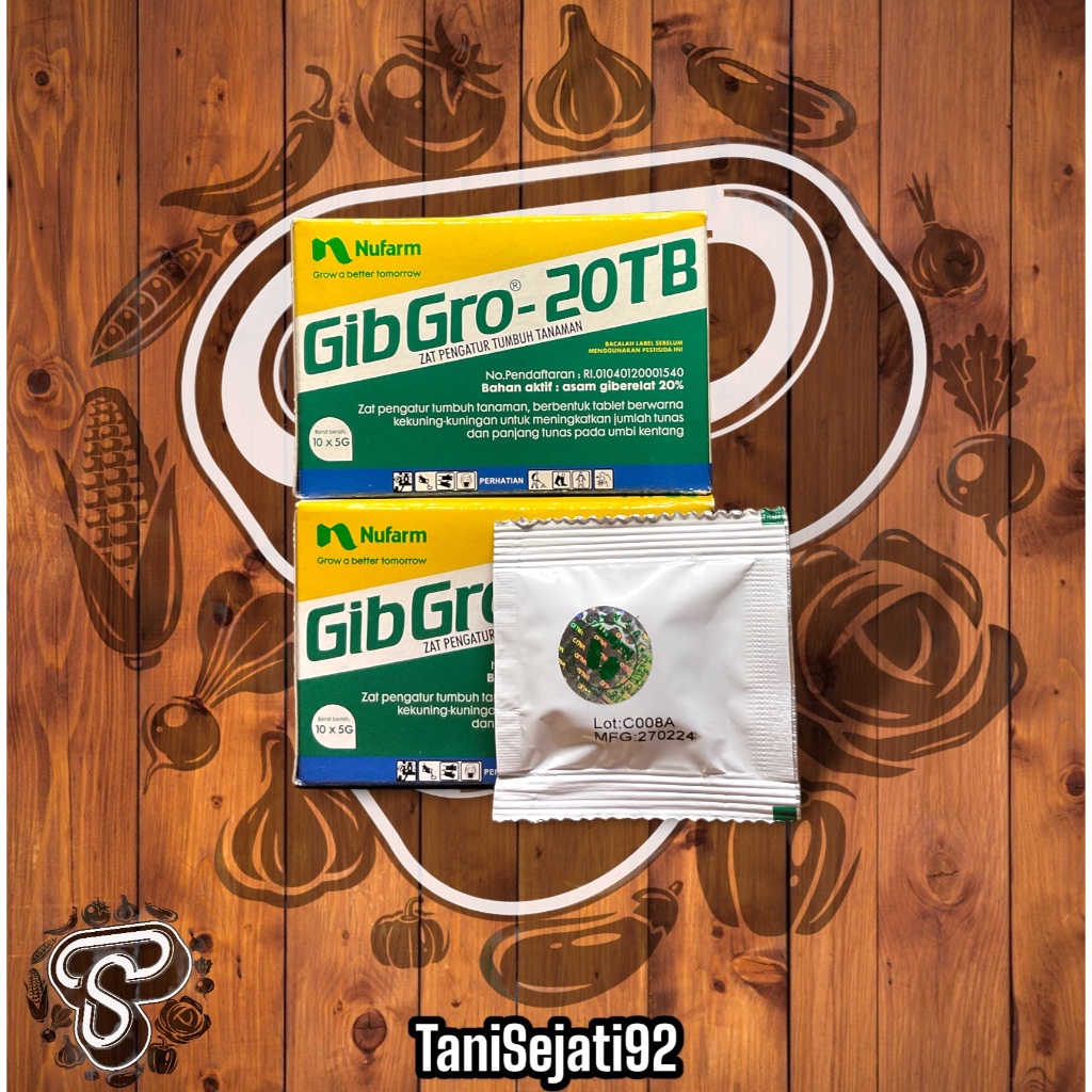ZPT GIBGRO 20TB - TABLET