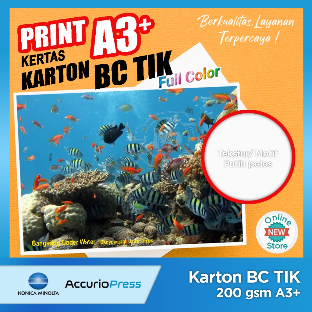 

Print Kertas Karton BC TIK A3+ (BISA GROSIR) / BC Putih Full Warna / Cetak Karton BC A3+