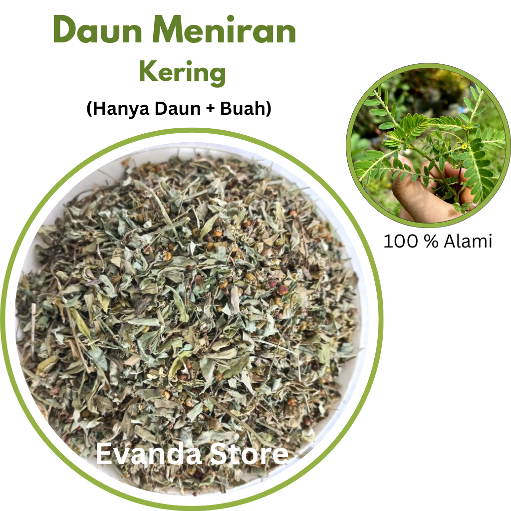 

1 Kg Daun Meniran Kering Murni (Daun+Buah)