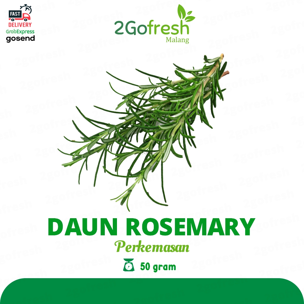 

Daun Rosemary / Rosemari Fresh - Sayuran