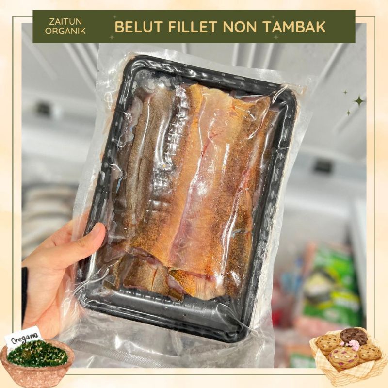 

Fillet BELUT non tambak | Fillet Golden Patin | Fillet Ikan salmon | Fillet Ikan kerapu | Fillet ikan kakap | Fillet Ikan Sidat | Ikan Tenggiri Giling | EBI FURAI | CUMI Tube | IKAN SEGAR | ZAITUN ORGANIK