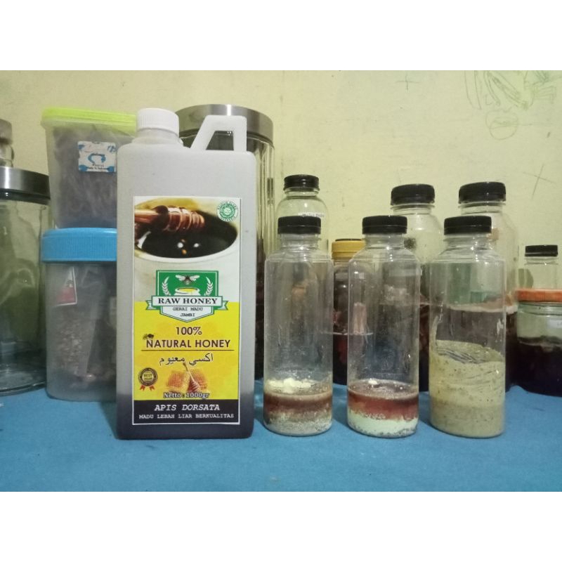 

Madu hutan asli untuk pembesar Otong