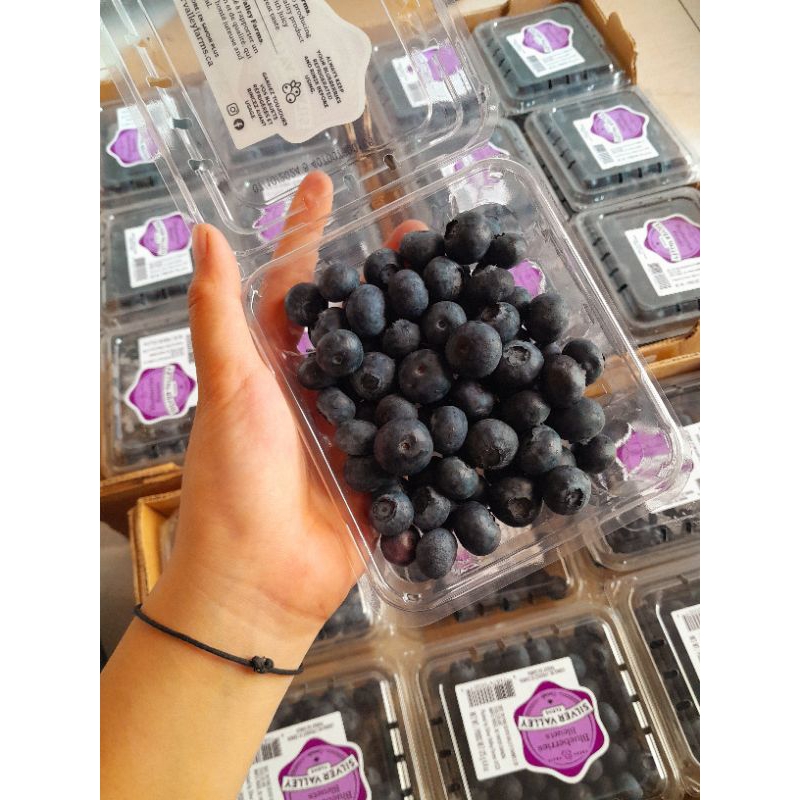 

Blueberry Canada Manis Fresh 125gr /pack