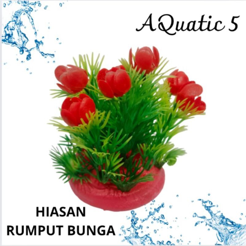 HIASAN DEKORASI TANAMAN RUMPUT BUNGA AQUARIUM AQUASCAPE