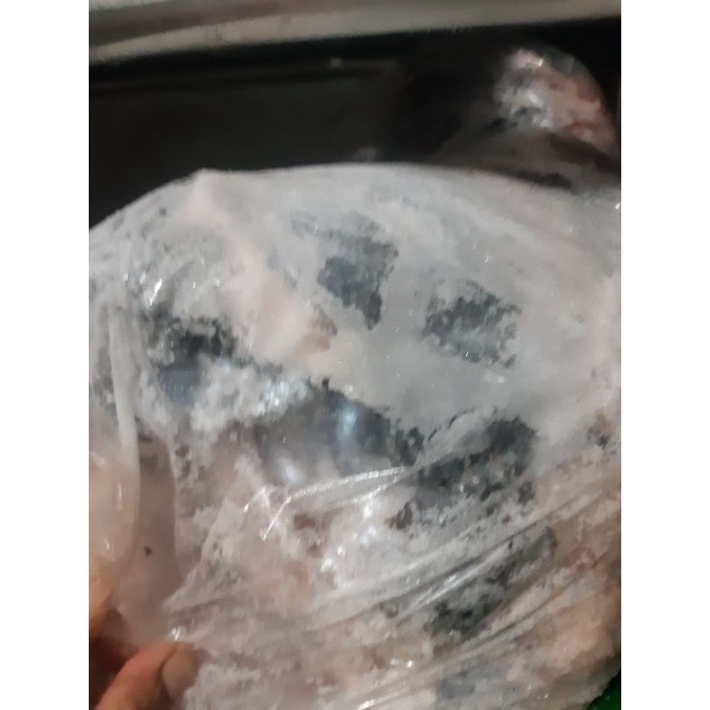 

kulit salmon beku