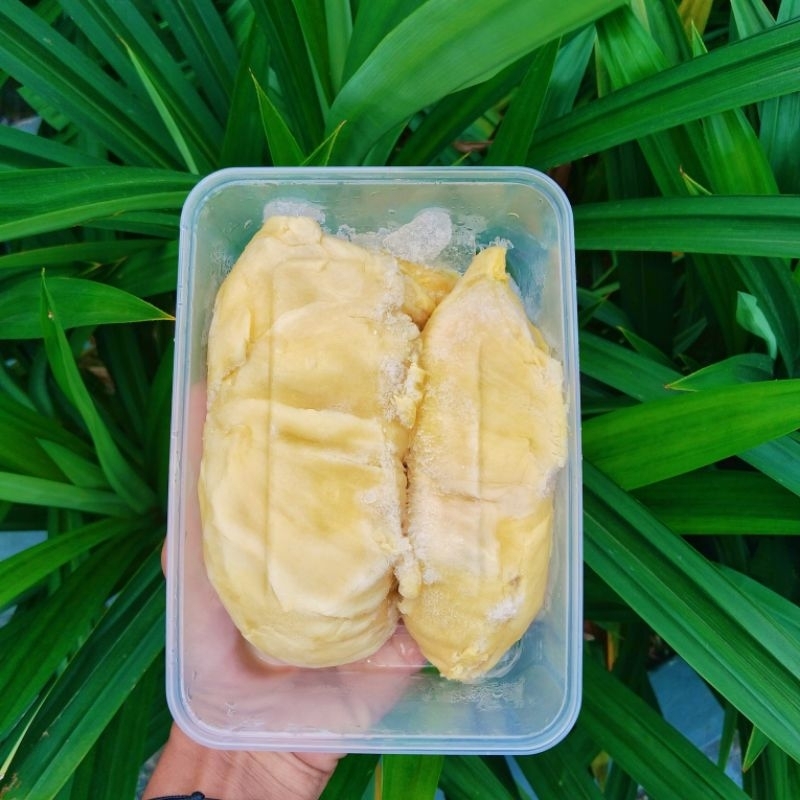 

Duren Durian Montong Monthong Palu Parigi Manis Legit Box