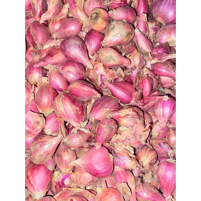 

Bawang merah