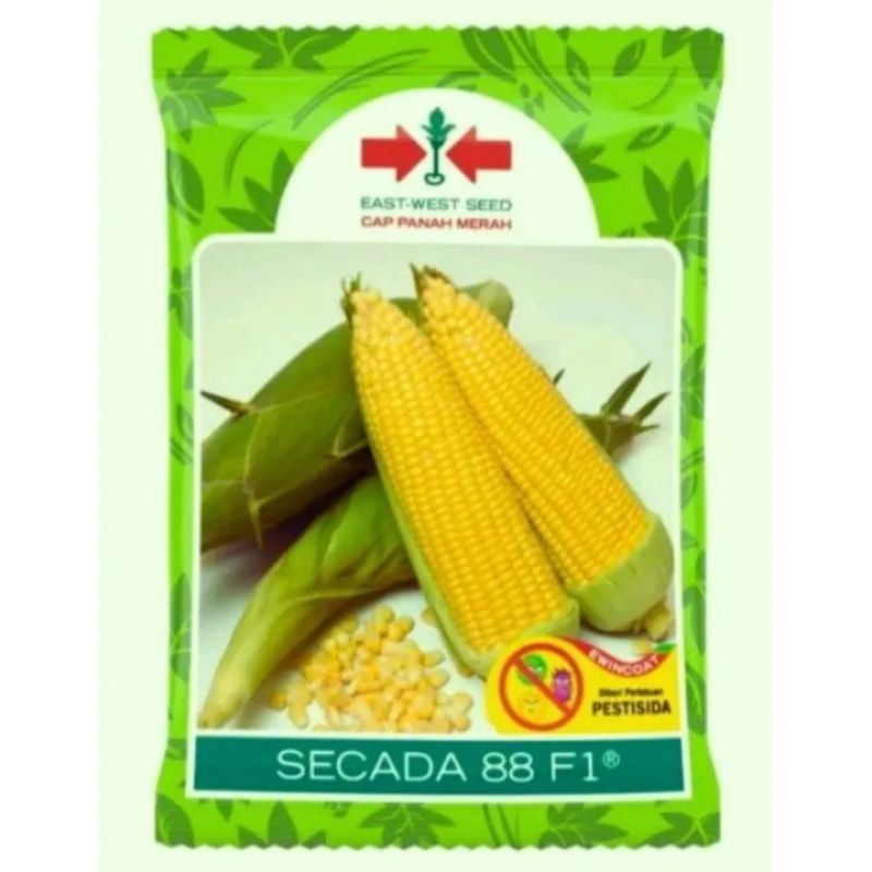 Benih Jagung Manis SCADA 88 F1. Isi 1750 Biji. Original Benih Unggul Cap Panah merah.