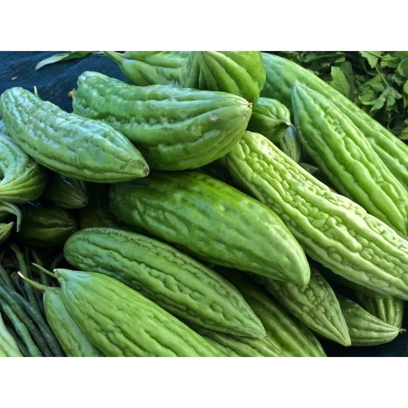

Pare segar 500 Gram Fresh