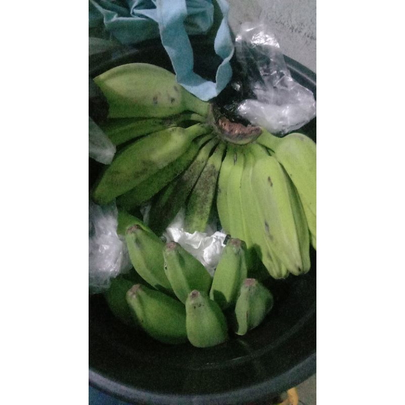 

pisang kepok original