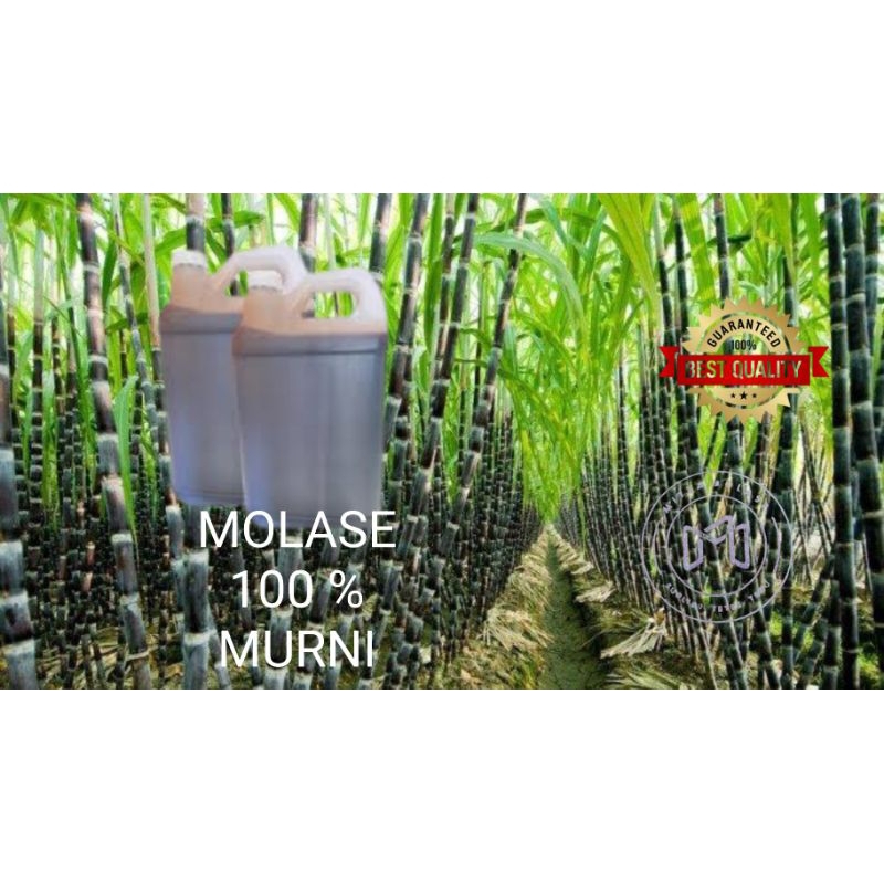 Molase-molases-tetestebu-100%murni-untuk-permentasi-pakan-ternak-pertanian-perikanan