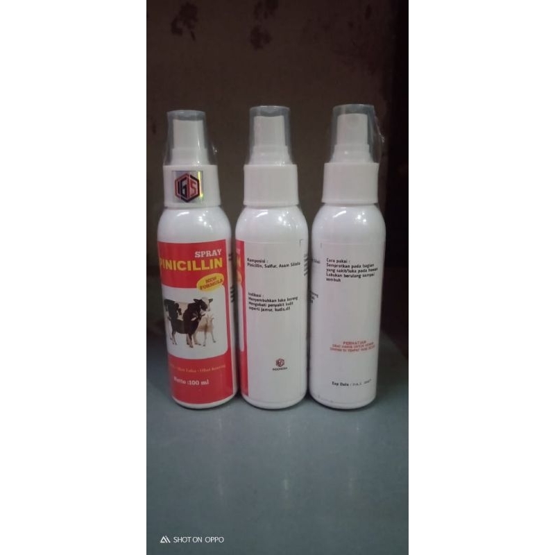 PINISILIN SPRAY OBAT KORENG AMPUH