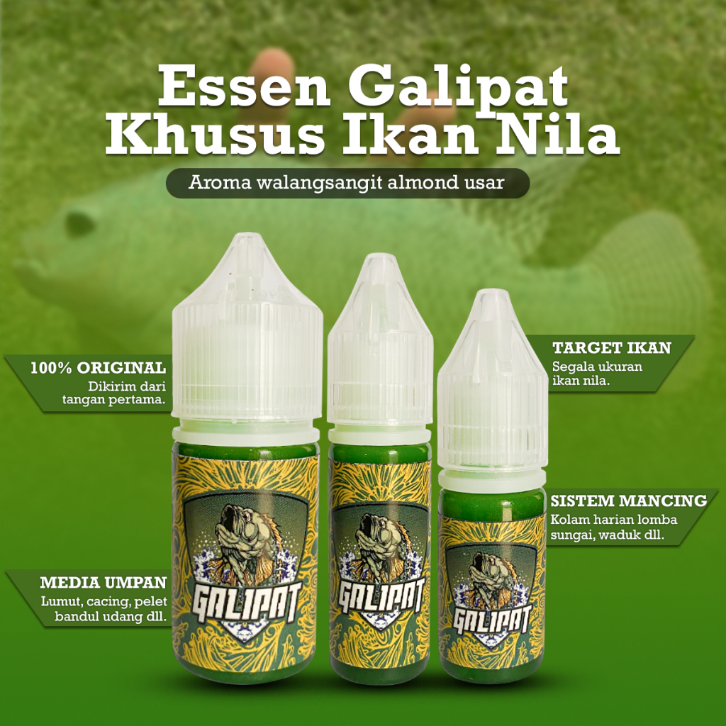 Essen ikan Nila spesialis kolam dam alam liaran trabas siang malam