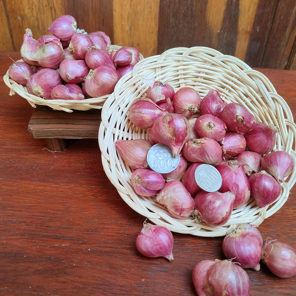 

Brambang Murah 1kg Bawang Merah 1 kg Kering Premium Bagus