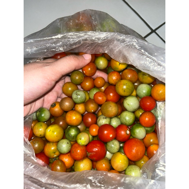 

rempai fresh/tomat kecil