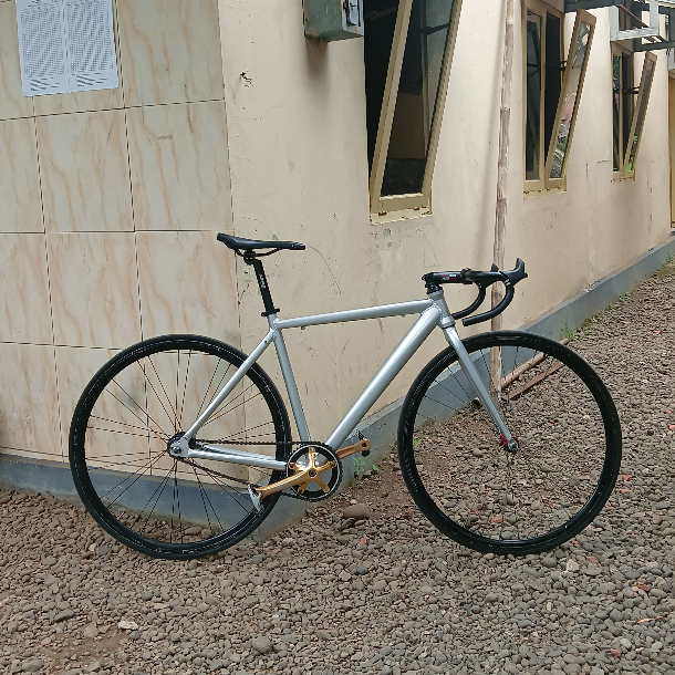 Semi Fullbike Evolution East