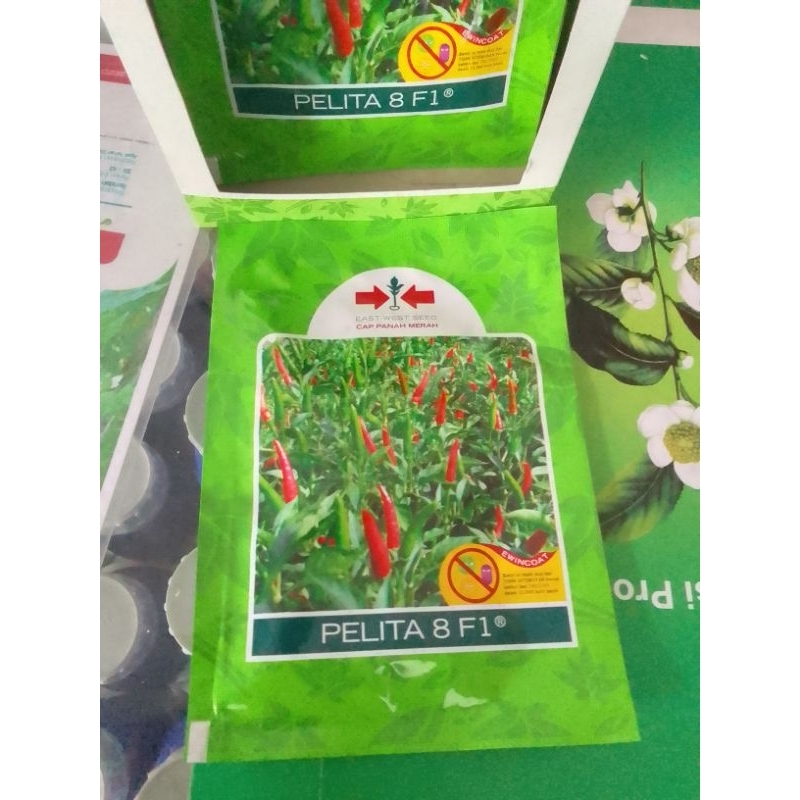Benih Unggul cabe rawit pelita 8 F1 cap panah merah
