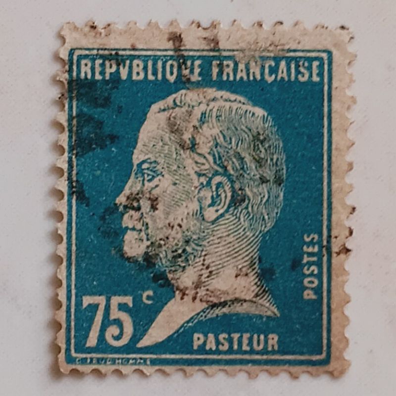 

(AA) Perangko Perancis 1924 Pasteur, Louis 75 centime Used