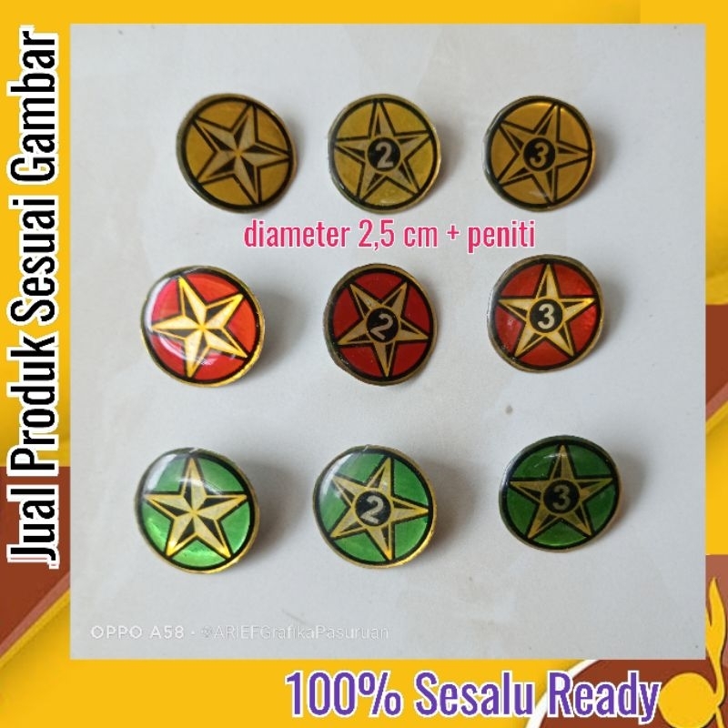 Bros pin Bintang tahunan pramuka