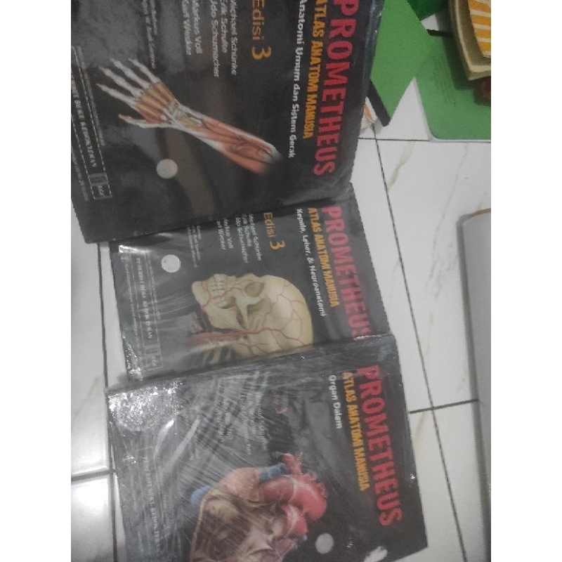 Buku kedokteran atlas anatomi Prometheus original