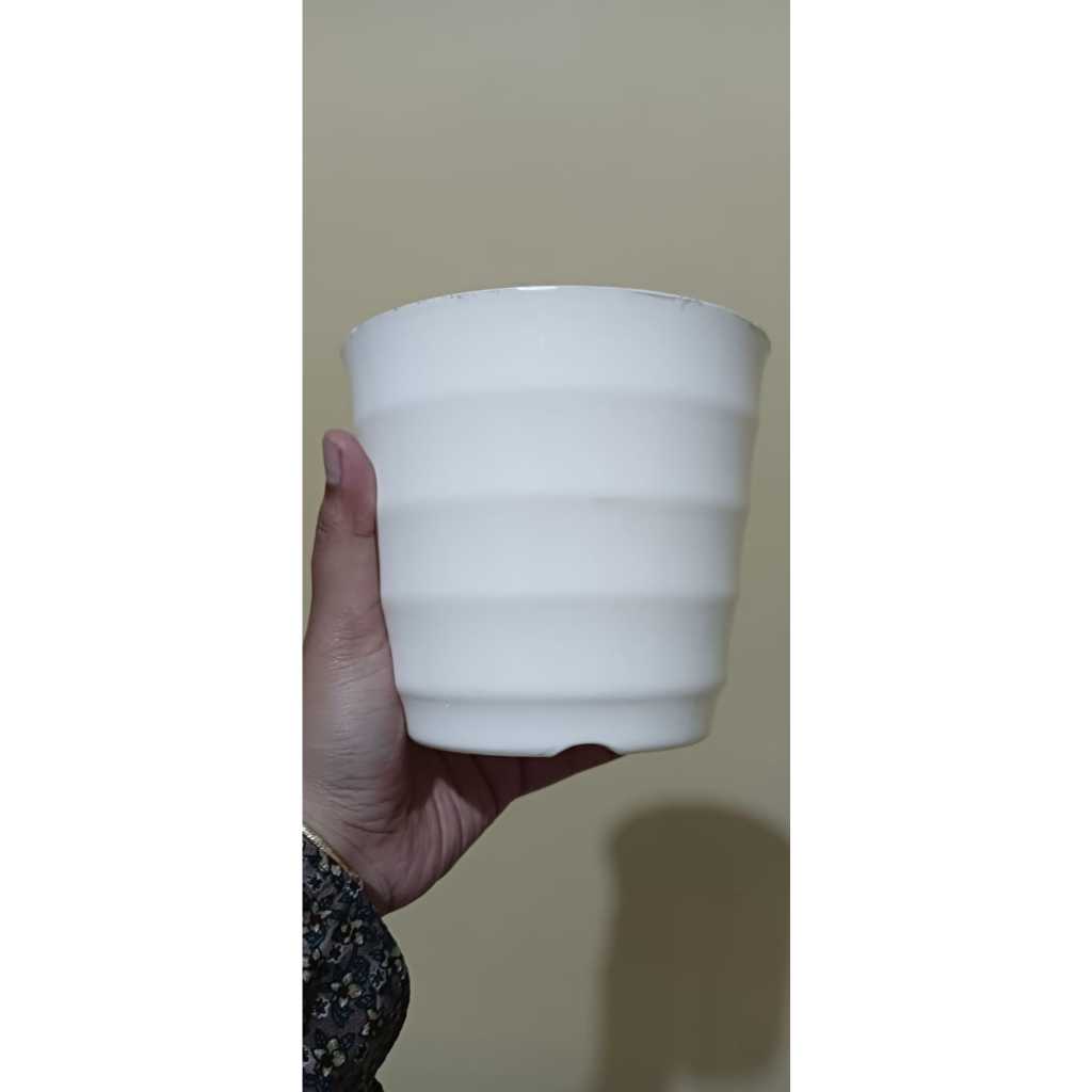 POT BUNGA KEONG PUTIH POT TANAMAN