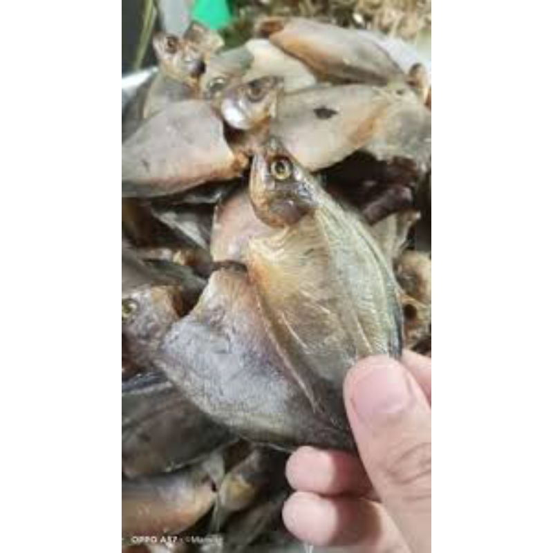 

ikan asin sepat 500gram