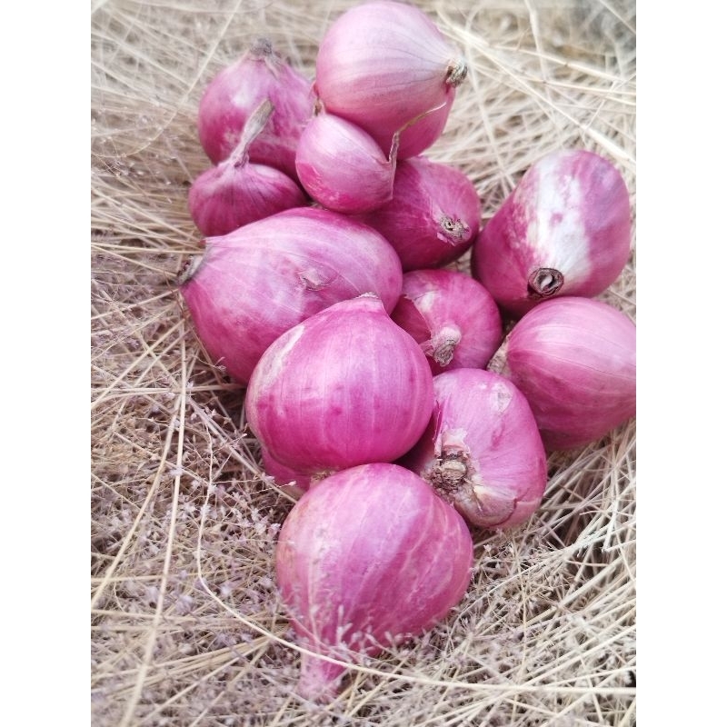 

Bawang Merah Super 1Kg Jawa Timur