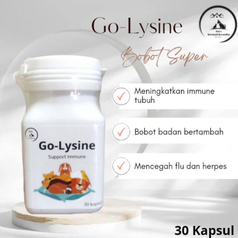 boster kucing#penggemuk badan kucing#Go Lysine#Penambah nafsu makan#badan gemuk