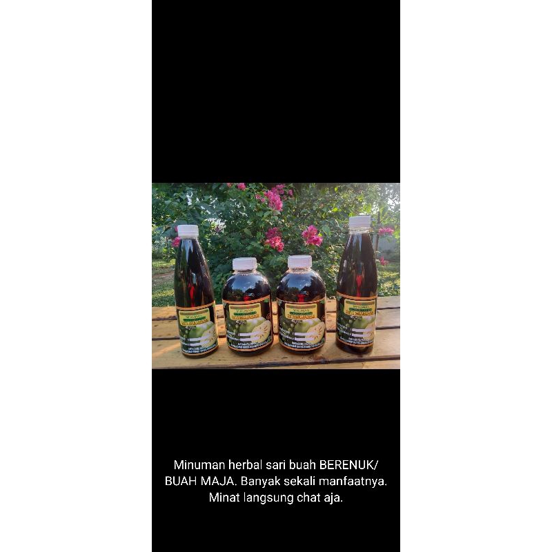 

Herbal_Maja_Berenuk