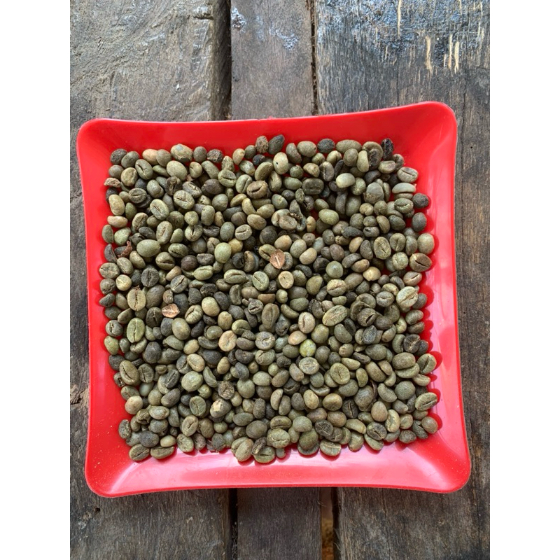 

Biji kopi Robusta Kering Grade 1 ( A ) Sumatra Barat 1 KG Green Bean