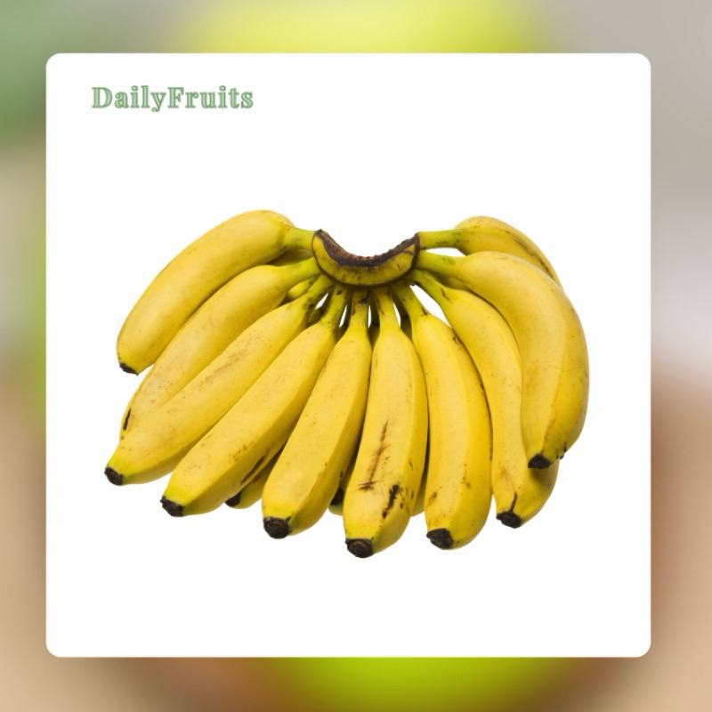 

Pisangan Barangan Fresh 1 sisir | DailyFruits