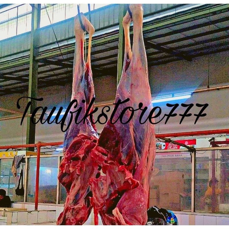 

Paha Kambing Muda Segar Dan Fresh Lokal Import