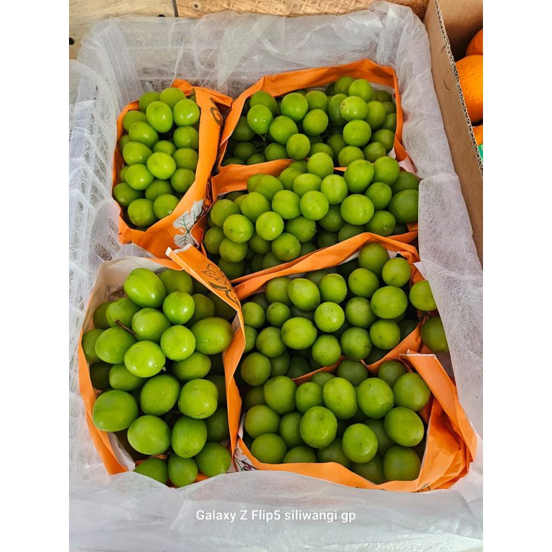 

anggur muscat 900gr