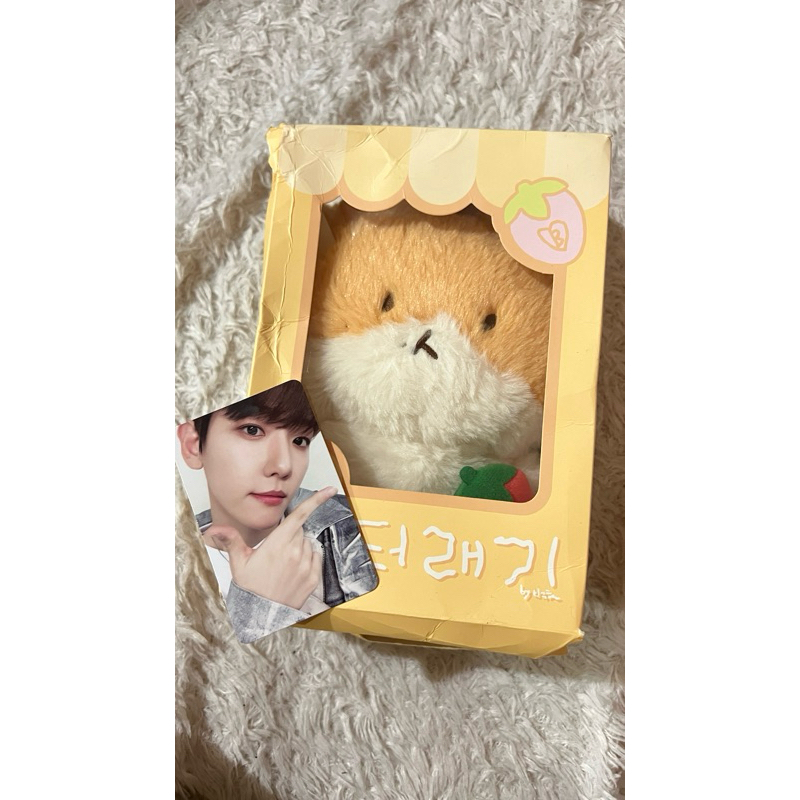 Teolaegi ar voice set 20cm set photocard baekhyun