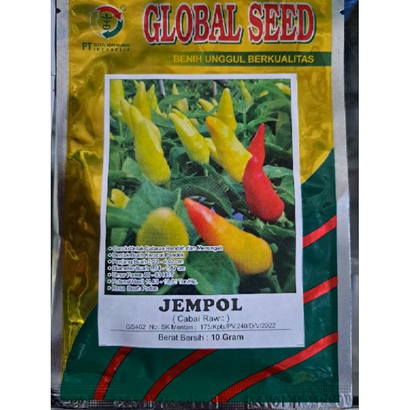 BENIH CABE RAWIT PUTIH JEMPOL DARI GLOBAL SEED BENIH CABE RAWIT TIPE ORI