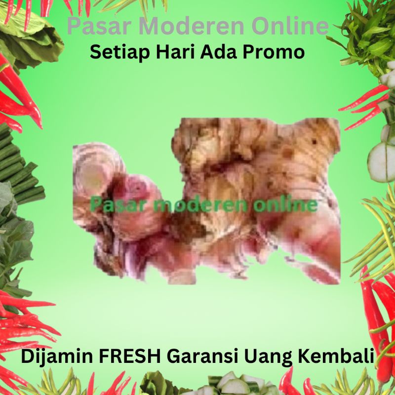 

LENGKUAS/BUMBU DAPUR/BUMBU REMPAH-250 GRAM