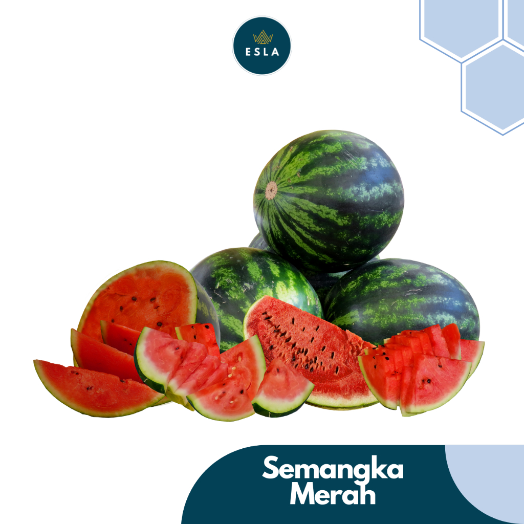 

SEMANGKA MERAH (1 BUAH) I Buah Fresh dan Premium - ESLA