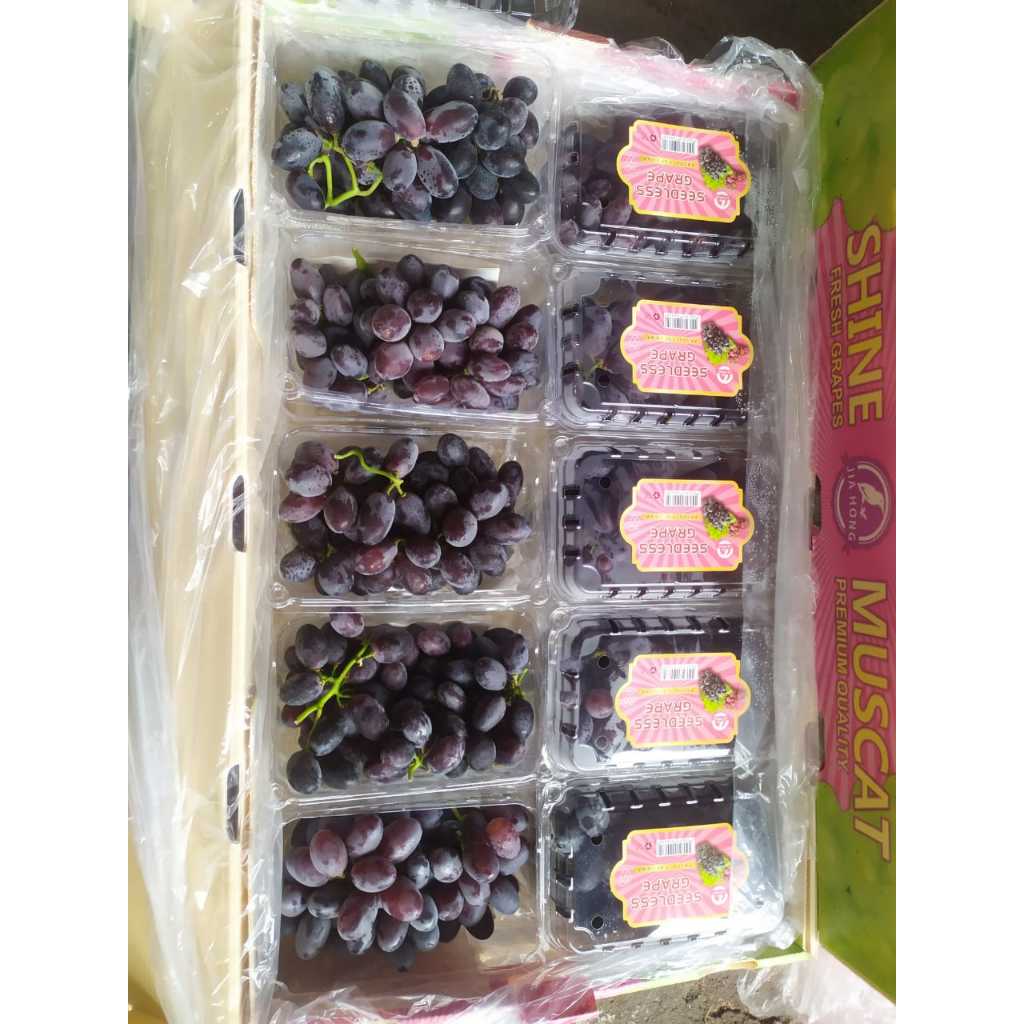 

ANGGUR AUTUMN ROYAL RRT 500GR