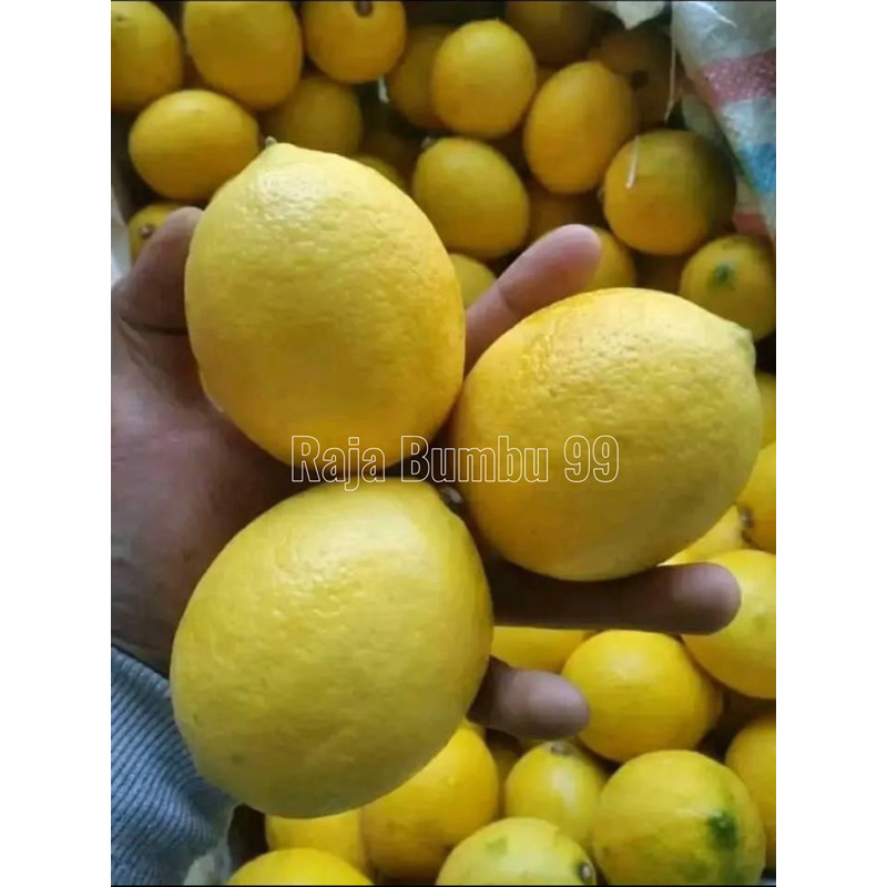 

LEMON CALIFORNIA