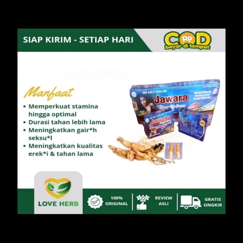 obat kuat JAWARA