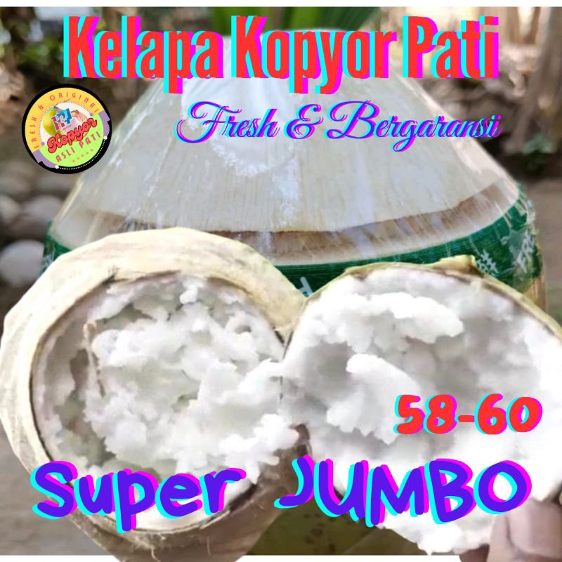 

Kelapa kopyor JUMBO [size : 58-60] Asli Pati.