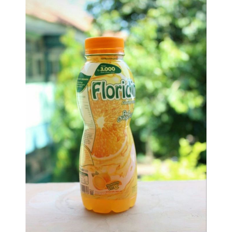 

Floridina ukuran 350 ml Rasa Orange dan Coconut